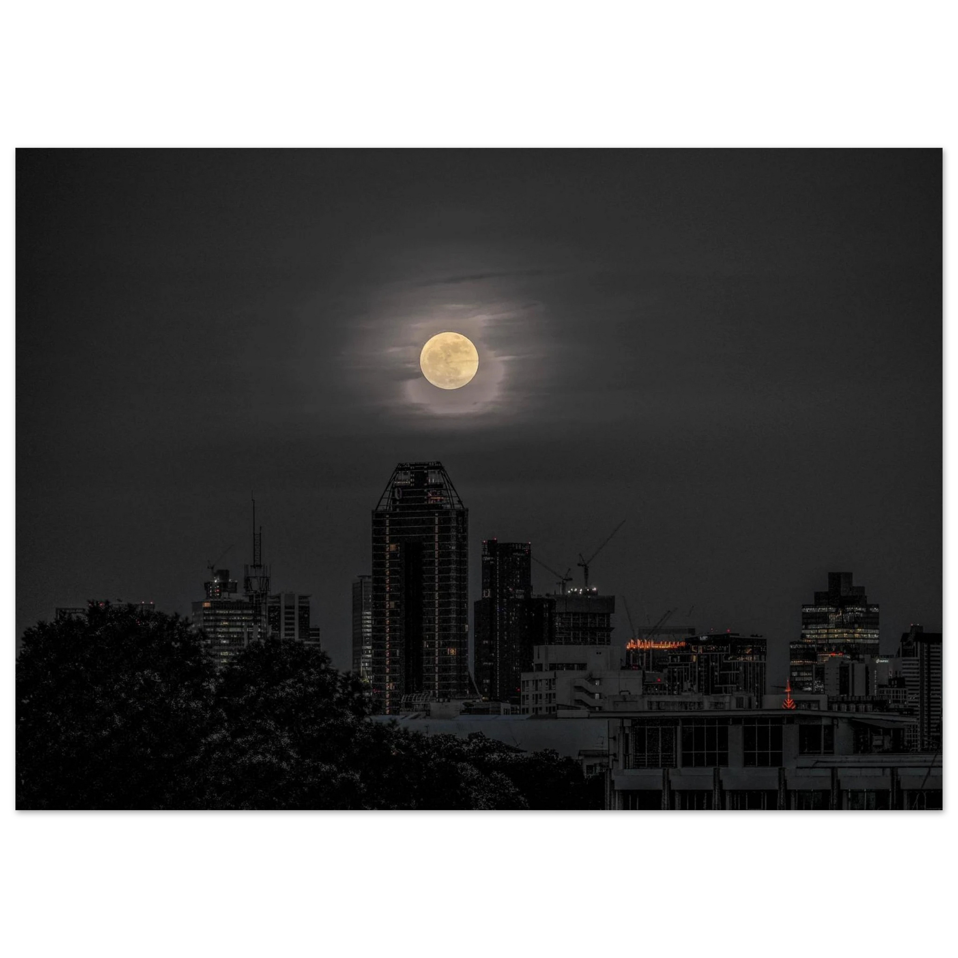 3c897831-96ab-4d3c-ba53-76e18b8892ec