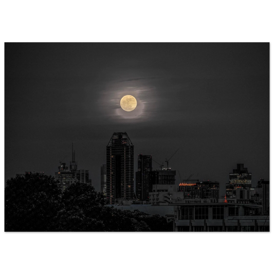 3c897831-96ab-4d3c-ba53-76e18b8892ec